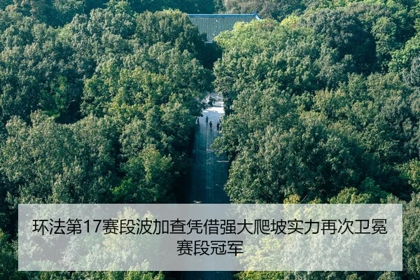 环法第17赛段波加查凭借强大爬坡实力再次卫冕赛段冠军