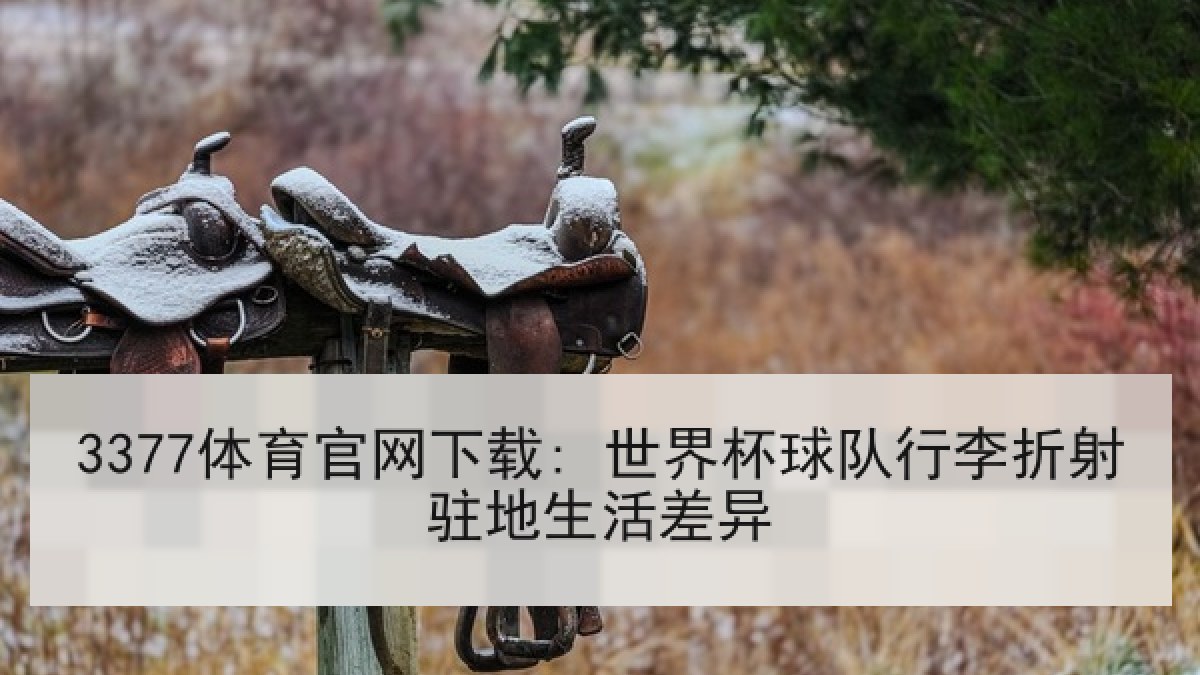 3377体育官网下载: 世界杯球队行李折射驻地生活差异 3377体育官网下载: 世界杯球队行李折射驻地生活差异