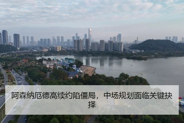 a-sen-na-e-de-gao-xu-yue-xian-jiang-ju-zhong-chang-gui-hua-mian-lin-guan-jian-jue-ze-3-251.jpg
