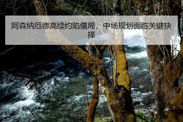 阿森纳厄德高续约陷僵局，中场规划面临关键抉择