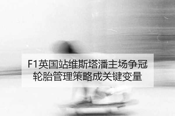 ying-guo-zhan-wei-si-ta-pan-zhu-chang-zheng-guan-lun-tai-guan-li-ce-lve-cheng-guan-jian-bian-liang-3-361.jpg