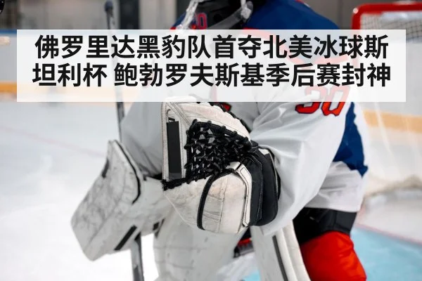 佛罗里达黑豹队首夺北美冰球斯坦利杯 鲍勃罗夫斯基季后赛封神