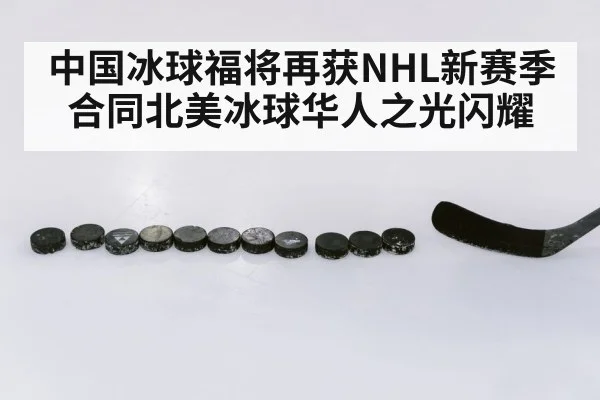 中国冰球福将再获NHL新赛季合同北美冰球华人之光闪耀