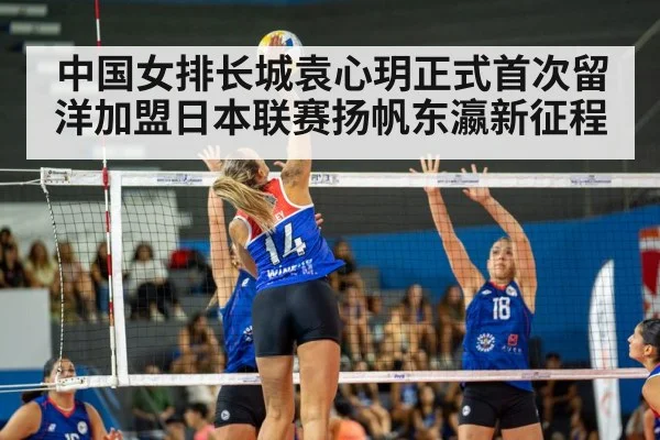 volleyball match action