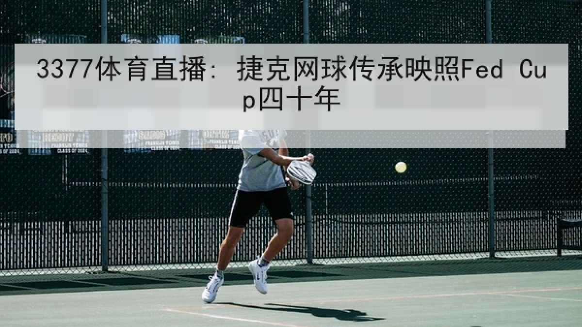 3377体育直播: 捷克网球传承映照Fed Cup四十年